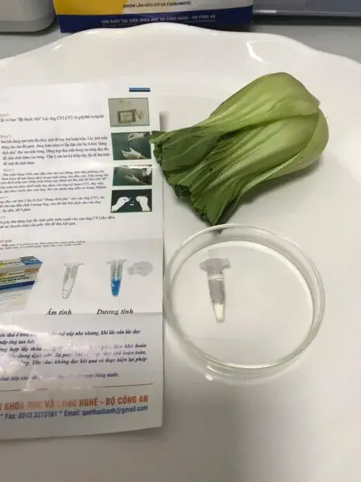 Bộ test nhanh dư lượng trên rau